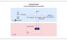 Starknet的Volition解析：数据安全与成本控制的完美演绎