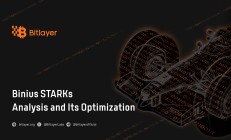 Bitlayer Research：Binius STARKs原理解析与优化思考