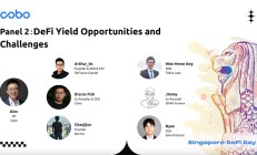 熊市掘金：来自华人区DeFiDegen压箱底的实战策略