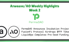 Arweave/AO 生态精粹 Week 2｜PermaDAO 公布孵化项目、FusionFi Protocol 即将空投 $FFP 代币、LiquidOps 完成 Pre-Seed 融资