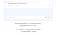突发！谷歌“ChatGPT”向公众开放，反击微软Bing
