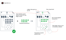 什么是 XRP？综合评述