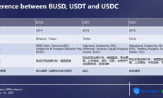 ChainAegis：BUSD链上数据分析报告