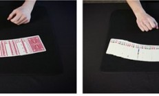 如何证明一个秘密：来自魔术师的零知识证明指南