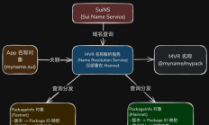 MVR 核心概念与使用